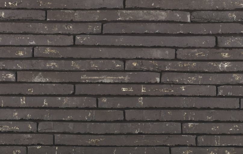 Wasserstrich Special Zwart